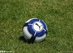 独家揭秘,亚洲杯将闪,耀杭州,爱游戏体育登录入口,爱游戏体育平台,爱游戏体育注册网址,爱游戏体育app,爱游戏体育官网,爱游戏体育网站,爱游戏体育网页版