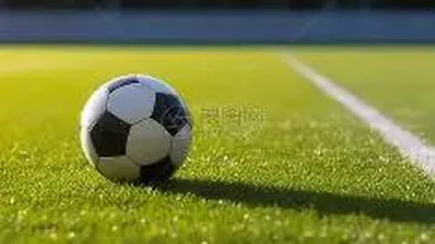 “郑钦文澳网训练T恤引关注，祖高域再提三年前遣返争议”